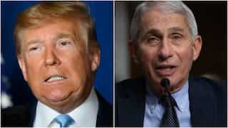 'Skunk of the picnic': Dr Fauci opens up about his experience serving Trump's COVID taskforce