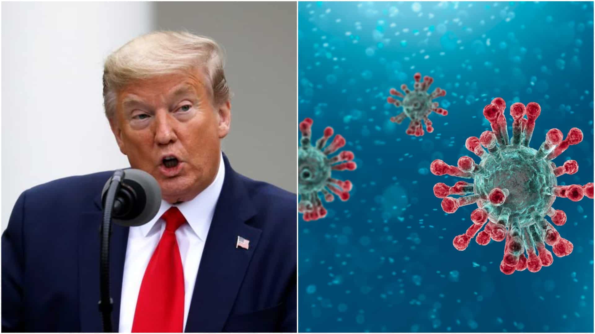 Morning news brief: Updates on US election 2020, coronavirus data and facts, and more