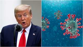 Trump administration had no coronavirus vaccine distribution plan, White House says