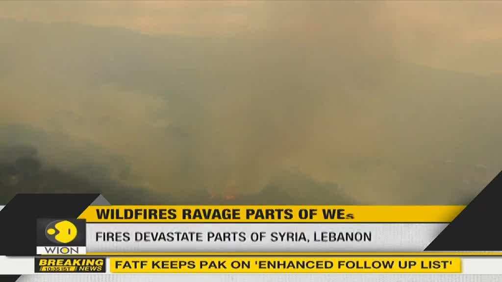 Wildfires ravage parts of West Asia, forest fires claim at least 3 lives in Syria