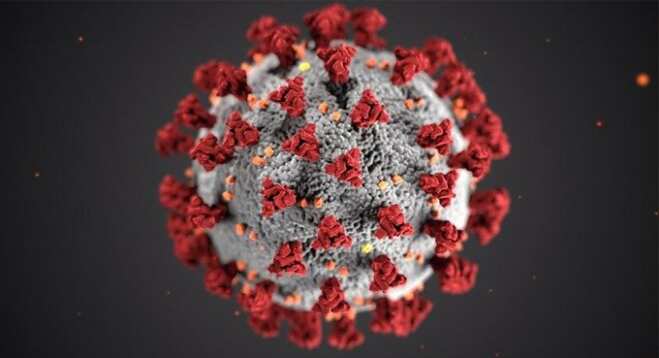 Study: Coronavirus can last 28 days on glass, currency