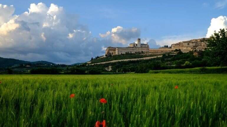 An Italian teenager could become the first millennial saint An Italian teenager could become the first millennial saint