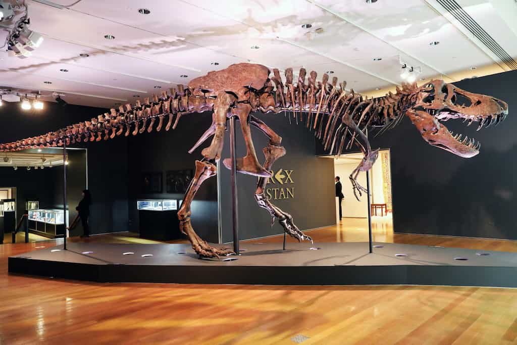 Allosaurus dinosaur skeleton auctioned in Paris