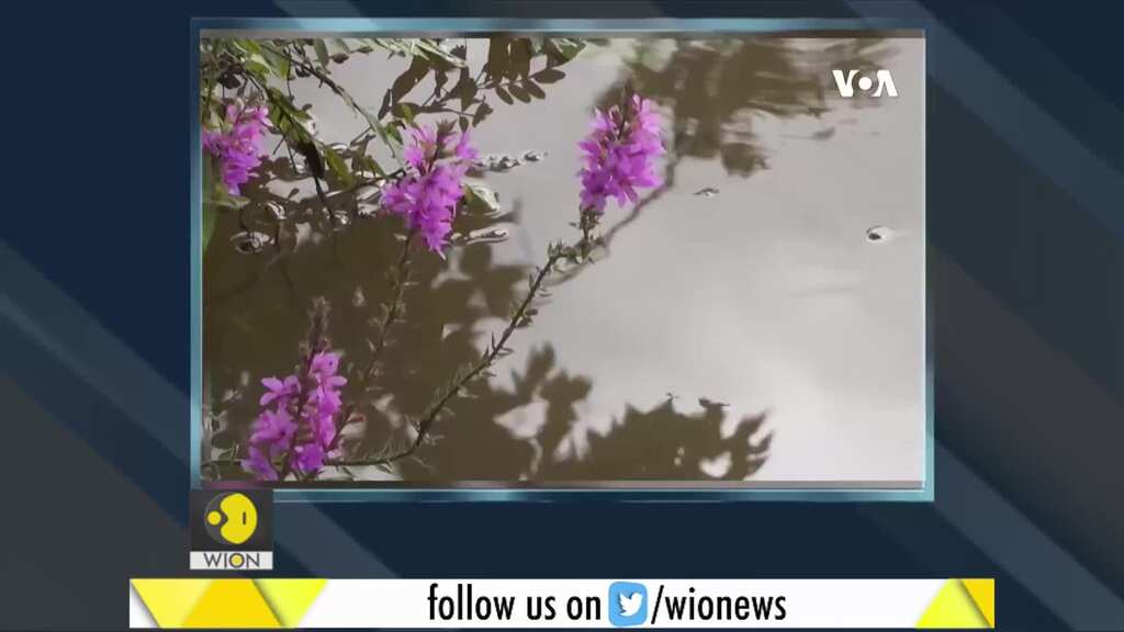 Washington: Residents work along with officials to clean Anacostia river