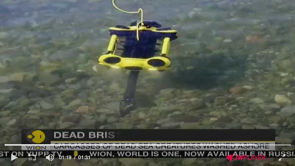 Underwater drones used to assess damage: Evidence of toxic poisoning in Russia's Kamchatka