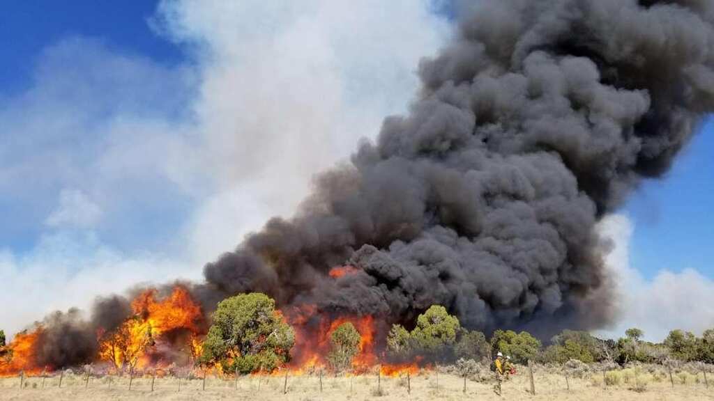 Largest wildfire in Colorado's history: Over 16,000 SQ KM land burnt