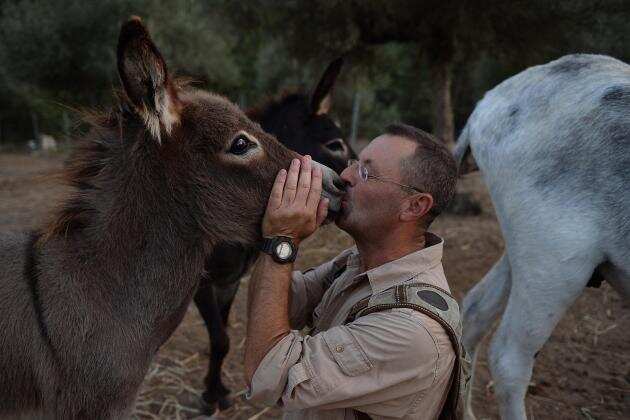 Donkey therapy to ease Spain medics' stress Donkey therapy to ease Spain medics' stress