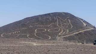 Massive cat geoglyph found at UNESCO world heritage site in Nazca, Peru
