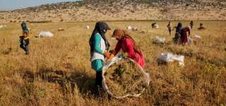 ‘If there were no hashish here, you wouldn’t see a single house’