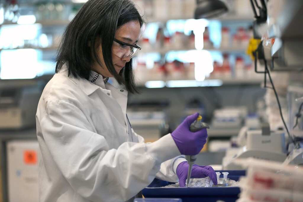 Japanese vaccine producers under cyber attacks: Reports
