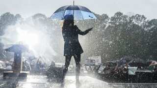 Watch | Netizens go gaga after Kamala Harris dances in rain in Florida rally