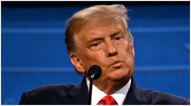 US Elections 2020: Wind energy kills birds, says Donald Trump during presidential debate