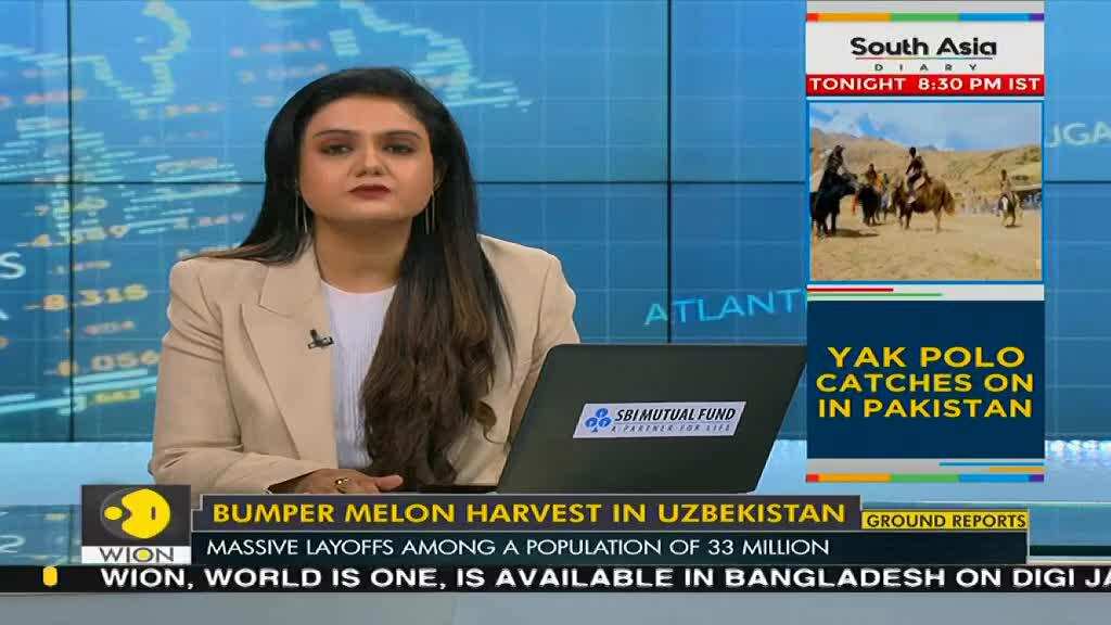 Bumper melon harvest sweetens Uzbekistan's COVID-19 woes