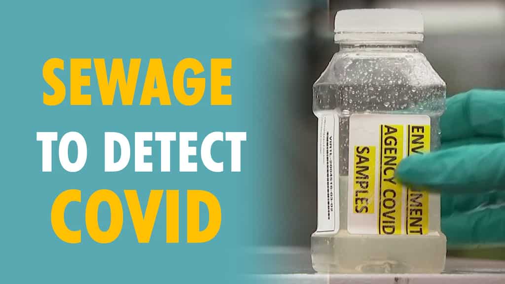 Sewage can reveal COVID outbreaks, UK project finds