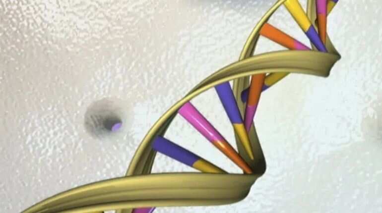 CRISPR gene editing can cause unwanted changes in human embryos, study finds