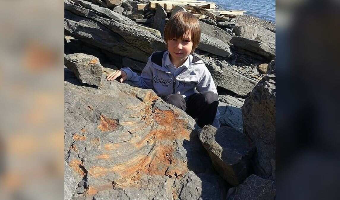 Schoolboy stumbles on remains of 250 million years old dinosaur Schoolboy stumbles on remains of 250 million years old dinosaur
