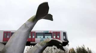 Saved by a Whale's Tale: Tram runs off track, lands on whale statue's tail in the Netherlands