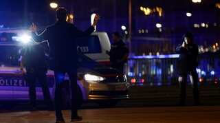 'Sounded like firecrackers', 'making of American film': Eyewitnesses describe Vienna terror attack