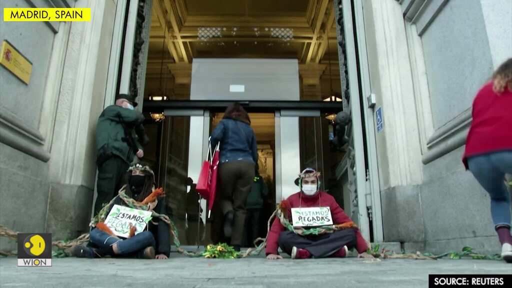 Extinction Rebellion activists glue themselves to ground, demand biodiversity protection