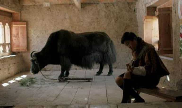 Lunana: A Yak In The Classroom (Bhutan)