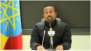 Can Ethiopia survive a civil war?