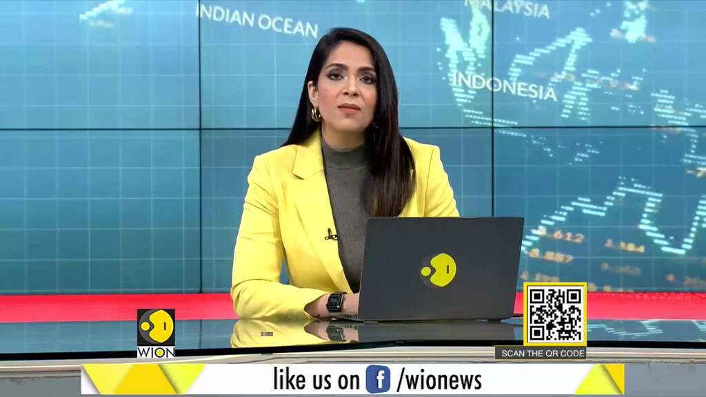 Sri Lankan navy, villagers work through night to rescue stranded whales