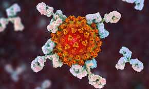 US grants emergency approval to 'Bamlanivimab' Covid-19 antibodies