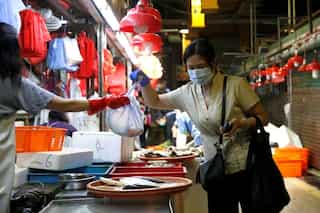 China wildlife crime prosecutions up sharply after COVID-19 outbreak