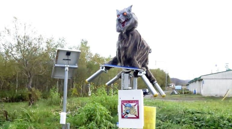 Japan: Town deploys 'Monster Wolf' robots to scare off wild bears Japan: Town deploys 'Monster Wolf' robots to scare off wild bears