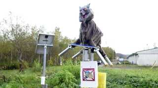 Japan: Town deploys 'Monster Wolf' robots to scare off wild bears