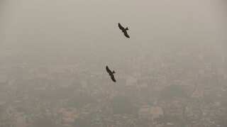 Delhi briefly bans some construction to reduce deadly pollution