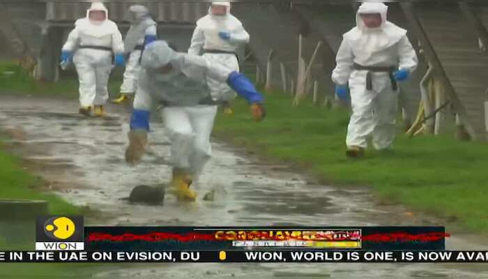 WionNews Video
