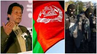 Top 10 world news: Israel strikes on Hamas, Typhoon Vamco, & more
