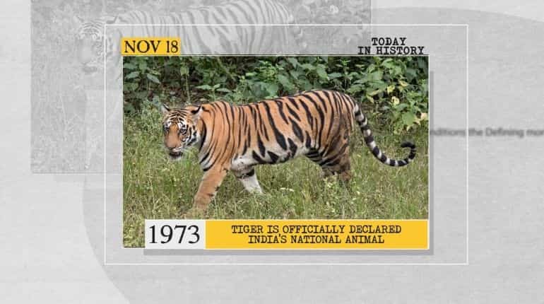 1973