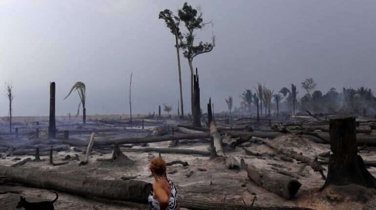 93% Brazilians, 91% Indians perceive climate change as severe, survey reveals 93% Brazilians, 91% Indians perceive climate change as severe, survey reveals