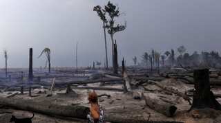 93% Brazilians, 91% Indians perceive climate change as severe, survey reveals