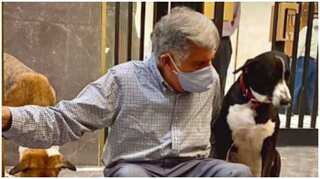 Ratan Tata's office dog's name is Goa. Here is the viral story behind it