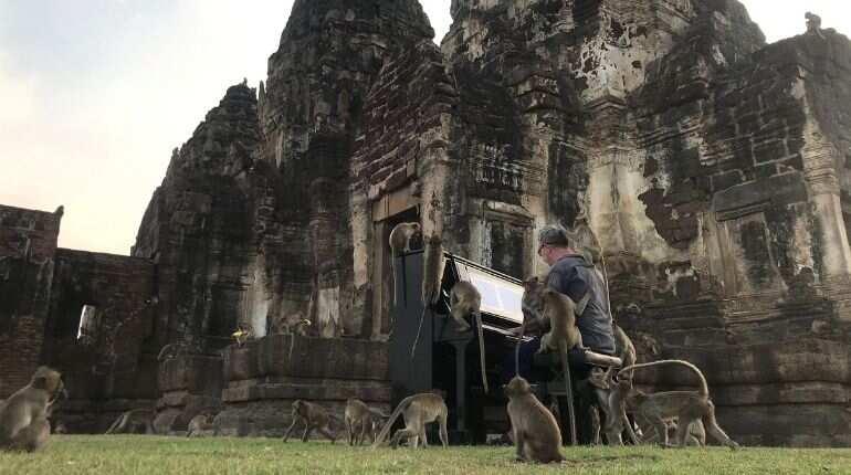 British musician plays classical tunes for hungry monkeys in Thailand
