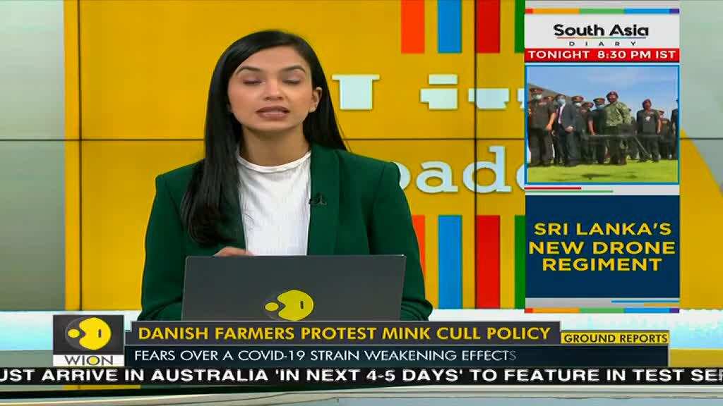 Danish farmers protest government's mink slaughter policy