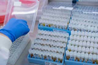 Indian government prepares cold storage facilities for COVID-19 vaccines