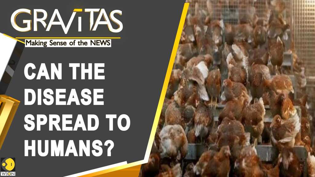 Gravitas: Europe battles new outbreak of Bird Flu