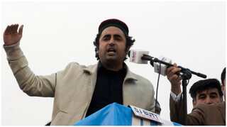 PPP to consult executive committee before resignation from assemblies: Bilawal Bhutto
