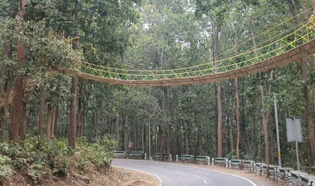 Eco Bridge: Uttarakhand builds bridge to help reptiles cross road