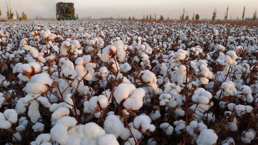 US imposes new restrictions on products from China's Xinjiang province