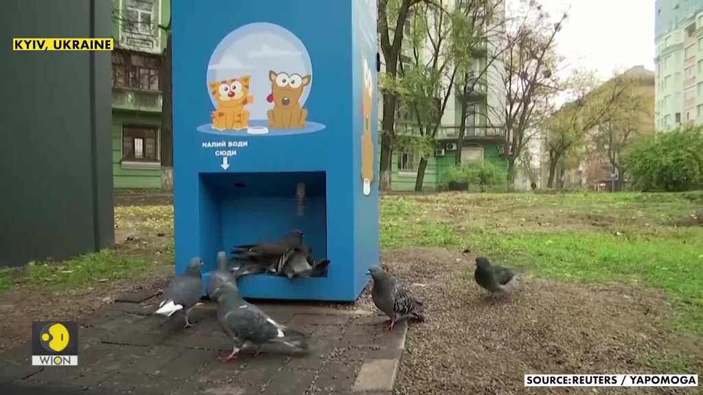 Machine with a heart: Recycle plastic and feed stray animals in one go