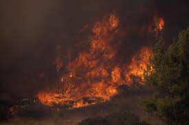 Firefighters move in on southern California blaze as wind gusts seen