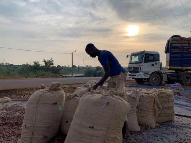 Children sue Nestlé, Mars and Hershey for child slavery in Ivory Coast