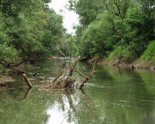Ukraine: Borzhava river turns into garbage dumps