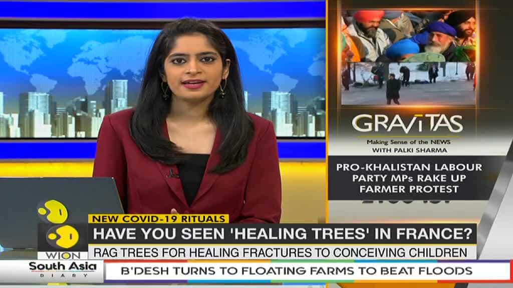 Have you seen 'healing trees' in France?