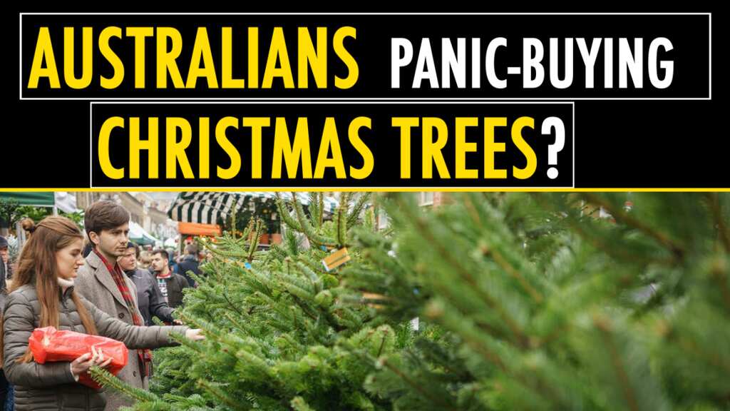 Australians panic-buying Christmas trees? In 2020, drone footage shows anything is possible